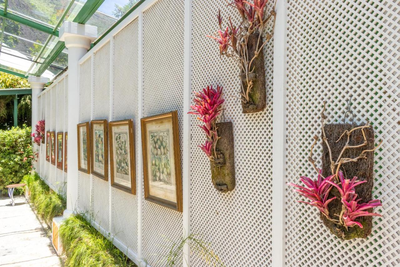 Locanda Della Mimosa Cascatinha Exteriör bild